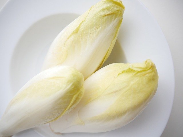 chicory-4045212_640